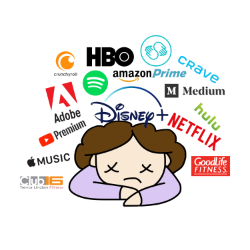subscription product 